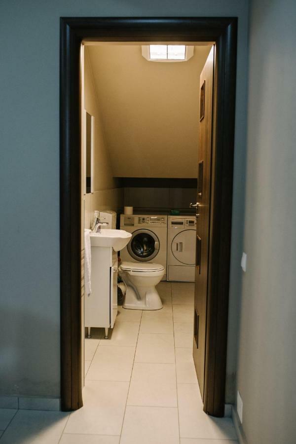 Meteor Apartment Xxl 克卢日-纳波卡 外观 照片